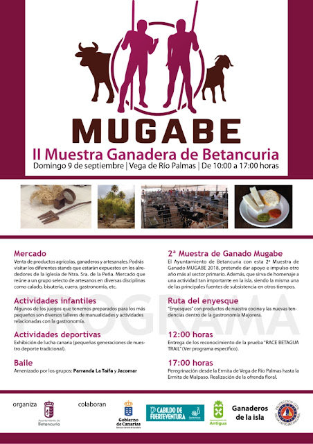 Cartel_Mugabe_2018