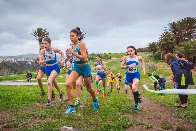 AUTOR: ALEJANDRO QUEVEDO (foto.alejandroquevedo@gmail.com)AÑO 2018 - FECHA: 04/02/18DIRECCION GENARAL DE DEPORTES DEL GOBIERNO DE CANARIAS. DGD. CAMPEONATO DE CANARIAS DE CAMPO A TRAVES CADETE Y JUVENIL, CELEBRADO EN GRAN CANARIA.